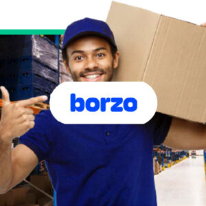 Borzo case study